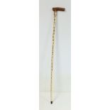 Edwardian shark's spine walking stick by Jonathan Howell, Henry Howell & Co., Cane and Stick