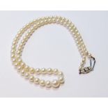 Single-row pearl necklace of graduated cultured pearls on diamond-set 9ct white gold snap.