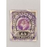 1902 Natal £5 black & mauve postage stamp postmarked for 8th February 1905.