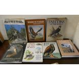 Birds Of Prey.  7 various quarto vols. in d.w's.