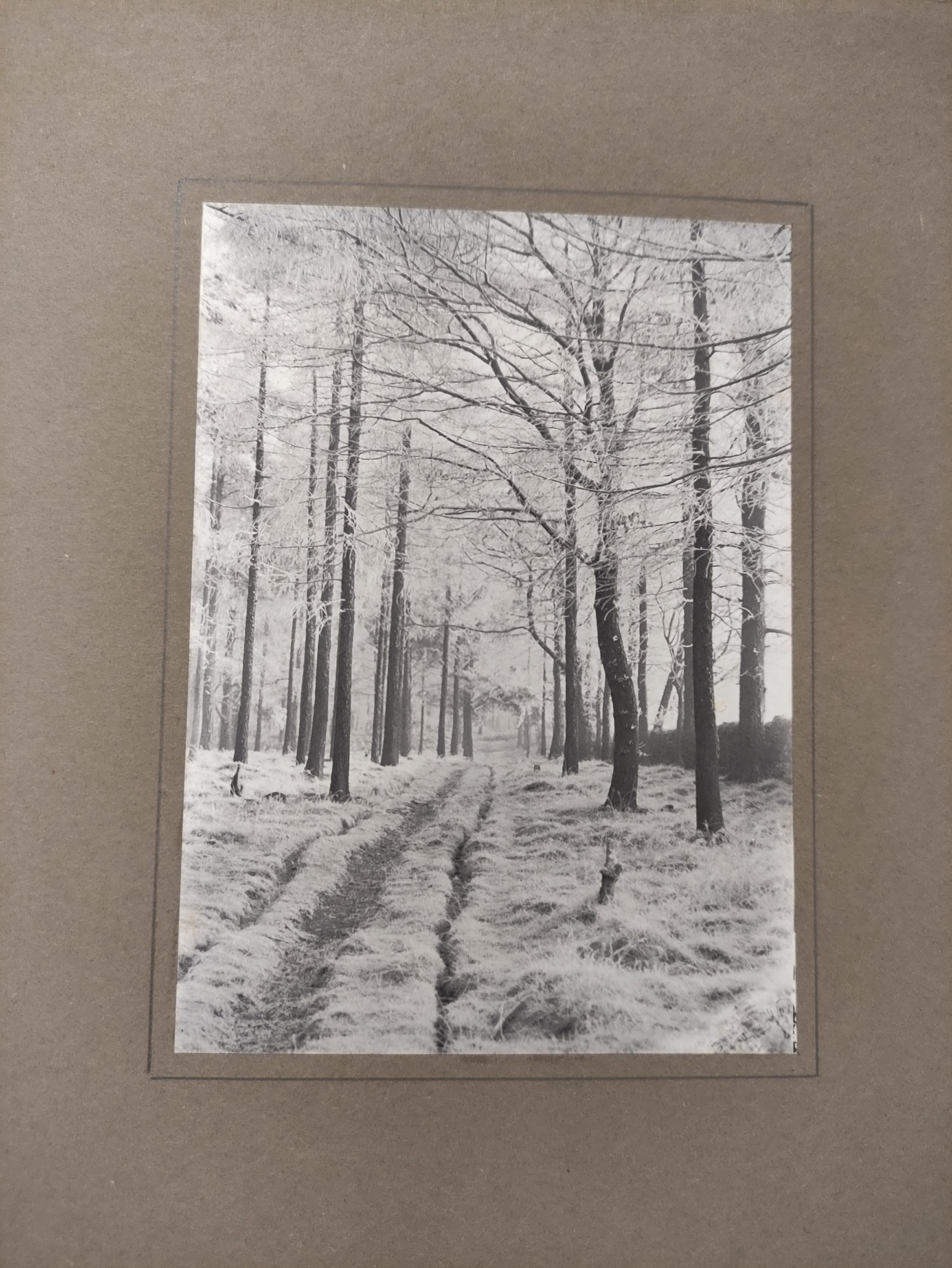 Breadsall Priory.  Album of photographs of this country house incl. interiors. Attributed to - Image 6 of 6