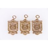 Three 9ct gold Cowal Games medals [DAILY RECORD 1930 GLASGOW SHEPHERDS PB G T MURRAY], [GLASGOW