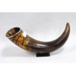 Horn table snuff with white metal banding to the collar, on a square plinth, 15cm high and 34cm
