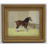 J. Hill (Victorian School). A Shire horse in a stable. Oil on board. 21.5cm x 26.5cm. Signed,