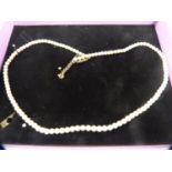 Pearl necklace with 9ct gold clasp.