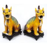 Pair of Chinese pottery temple guardians (Dogs of Fo), glazed in green and brown on a yellow ground,