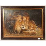 Sleeping lions, oil on canvass, unsigned in frame