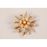 Yellow metal seed pearl starburst brooch; gross weight 5.9g