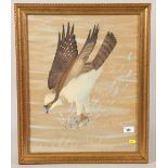 Ralston Gudgeon ' Osprey' watercolour on paper, signed in frame