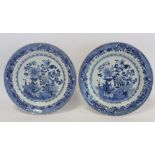 Pair of 18th century Chinese blue and white porcelain plates, the central panels depicting gardens