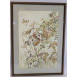 Jane Delavigne (20th Century British School). Hedgerow. Watercolour over pencil. 56cm x 38cm.