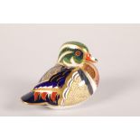 Royal Crown Derby Imari porcelain paperweight; Carolina Duck; with gold button