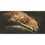 Darren Baker ( British born 1952) Framed pastel, signed Jaguar 12.5cm x 24cm