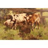 David Gauld RSA (Scottish 1865-1936) Framed oil on canvas, signed 'Three Ayrshire Calves' 70cm x