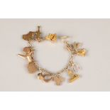 Ladies 9 carat gold charm bracelet, with sixteen assorted charms, 22g