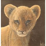 Jonathan Truss ARR Framed oil on canvas, signed 'Lion Cub' 19cm x 19cm