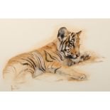 Spencer Hodge ARR Framed oil on canvas, signed 'Tiger Cub' 54cm x 80cm