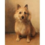 Sam Fulton (Scottish 1855-1943) Framed oil on board, signed, label verso 'Portrait of a Terrier'