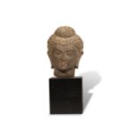 Buddha Kopf, Indien, Stil Gandhara, Schiefer