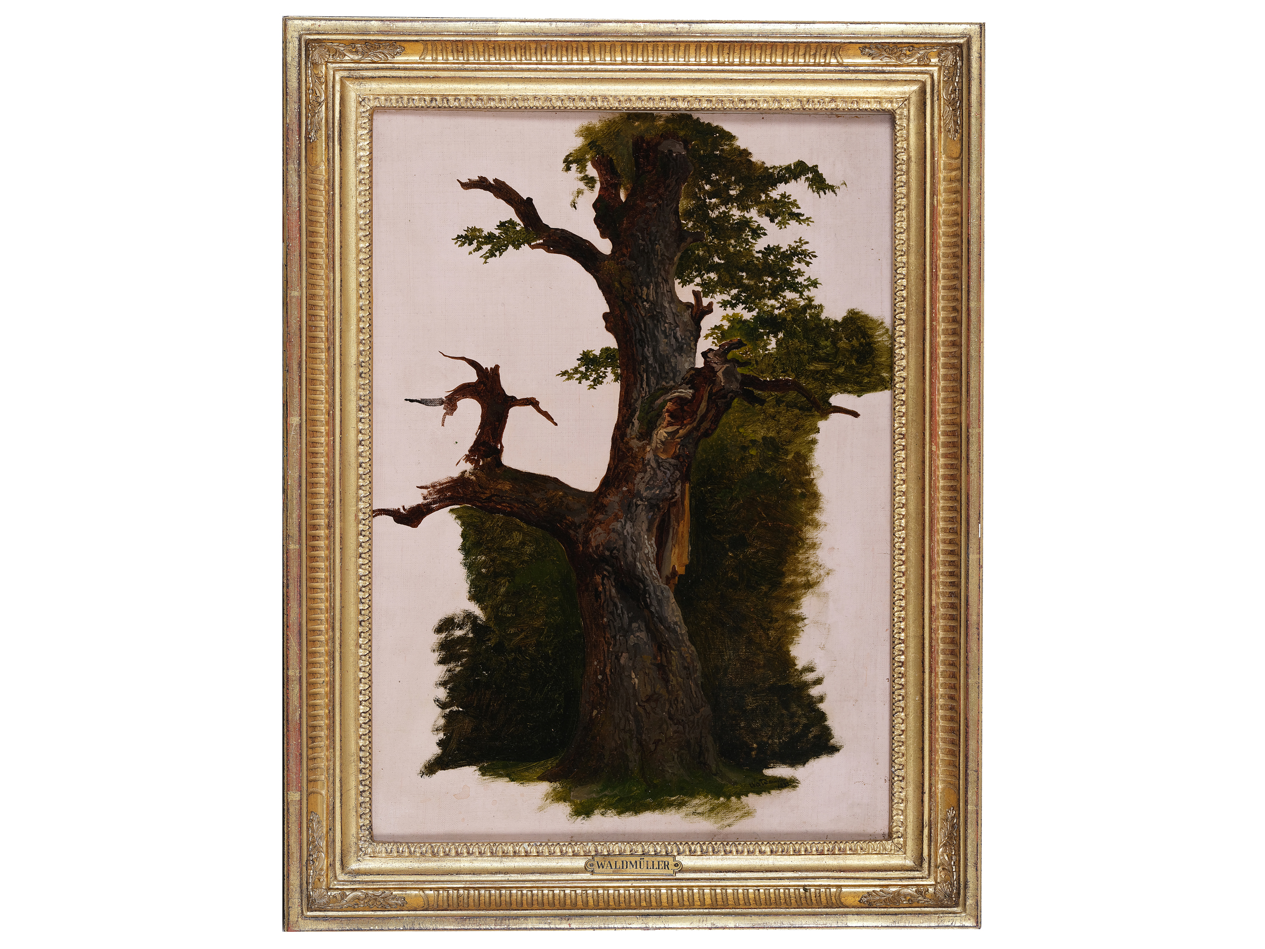 Ferdinand Georg Waldmüller, Vienna 1793 - 1865 Hinterbrühl, attributed, Tree study - Image 2 of 3