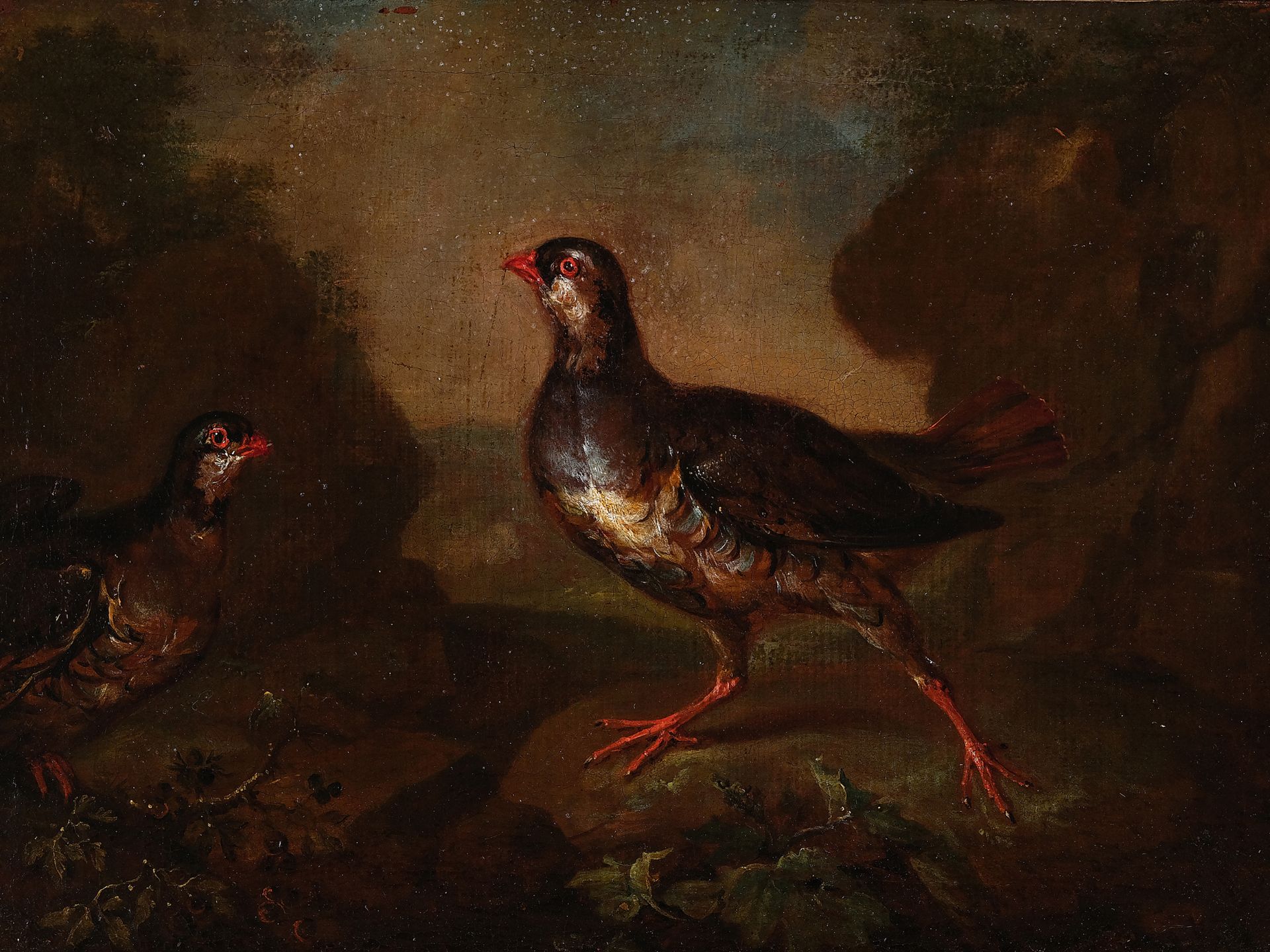 Philipp Ferdinand de Hamilton, Brussels 1666 - 1750 Vienna, Partridge