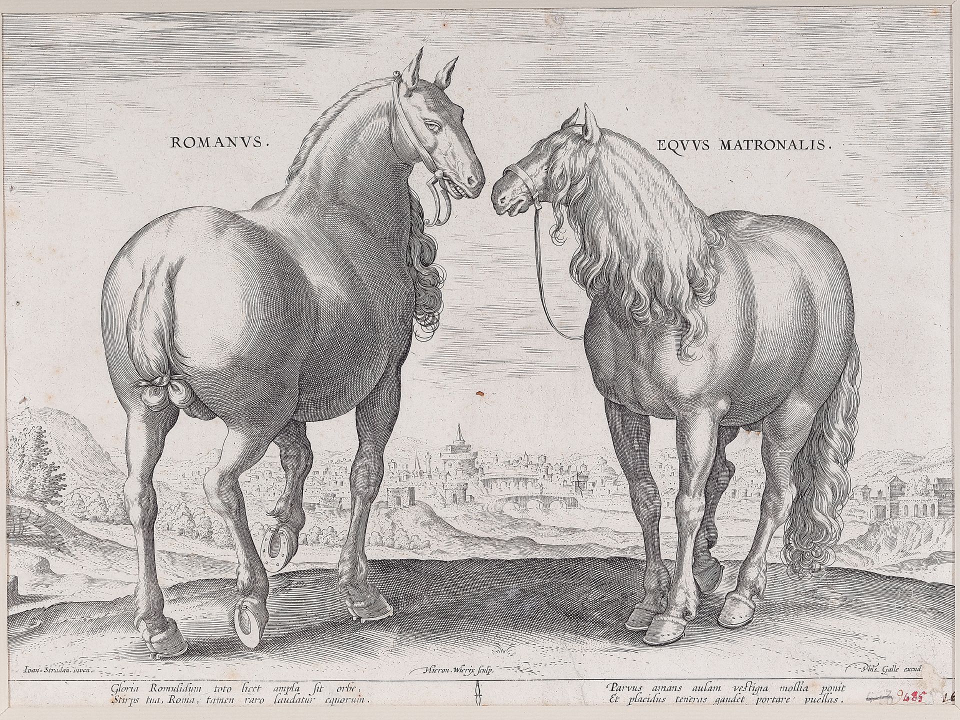 Kupferstich, Barock, 17./18. Jahrhundert, Romanus & Equus Matronalis 