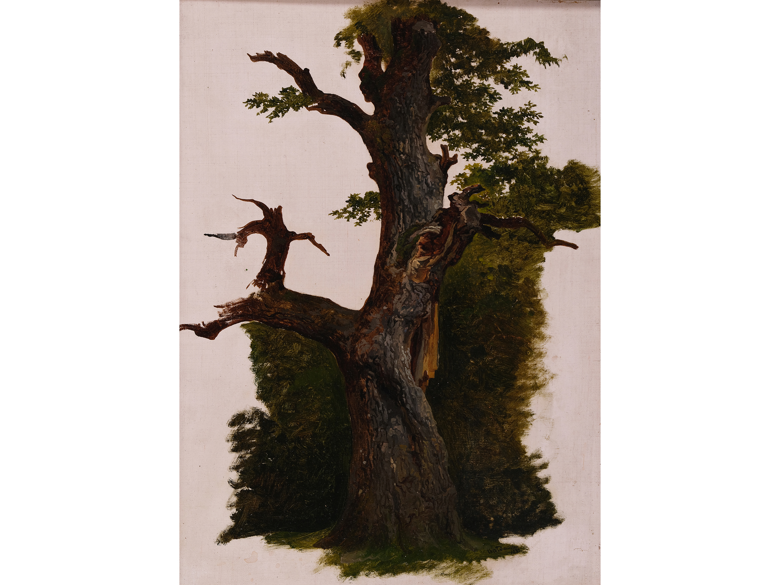 Ferdinand Georg Waldmüller, Vienna 1793 - 1865 Hinterbrühl, attributed, Tree study