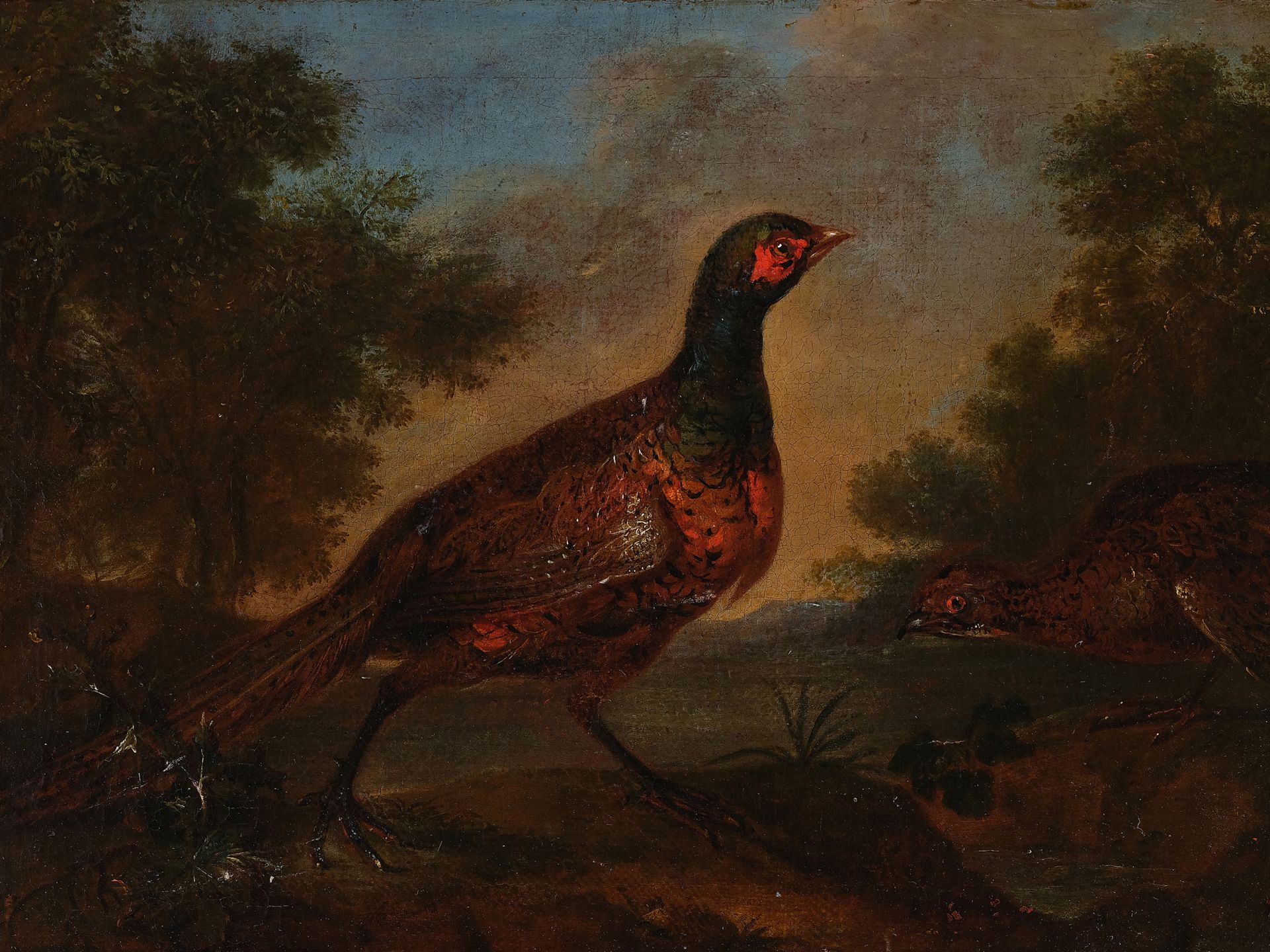 Philipp Ferdinand de Hamilton, Brussels 1666 - 1750 Vienna, Pheasants