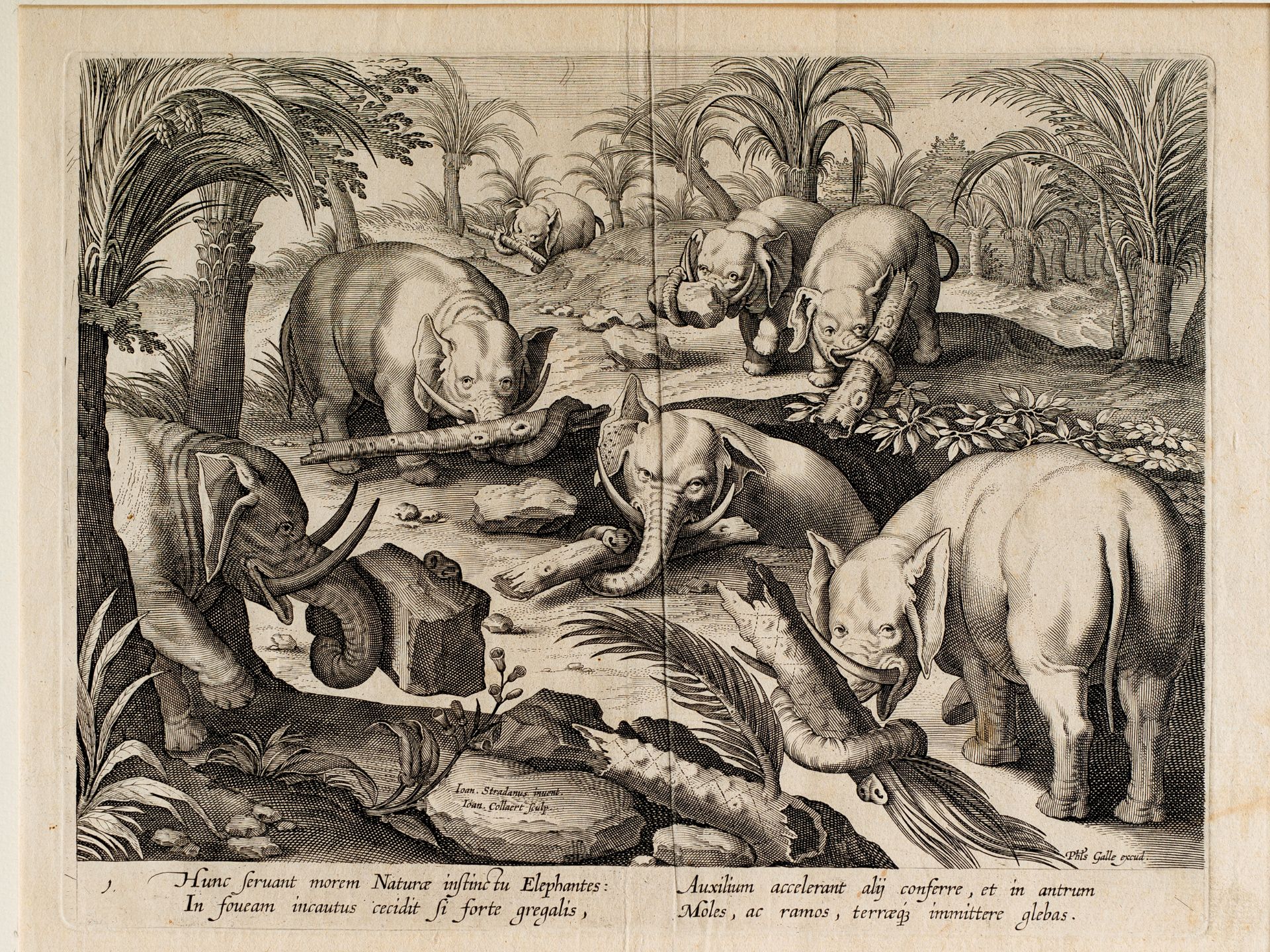 Jan van der Straet, Genannt „Stradano“, 1523 - 1605