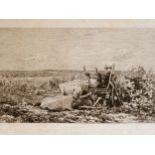 Charles Francois Daubigny, 1817 - 1878, Radierung