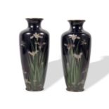 Paar Cloisonné-Vasen, Japan, Meijizeit, 1867-1911