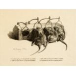 Rattenfalle, Lithographie, 19. Jahrhundert
