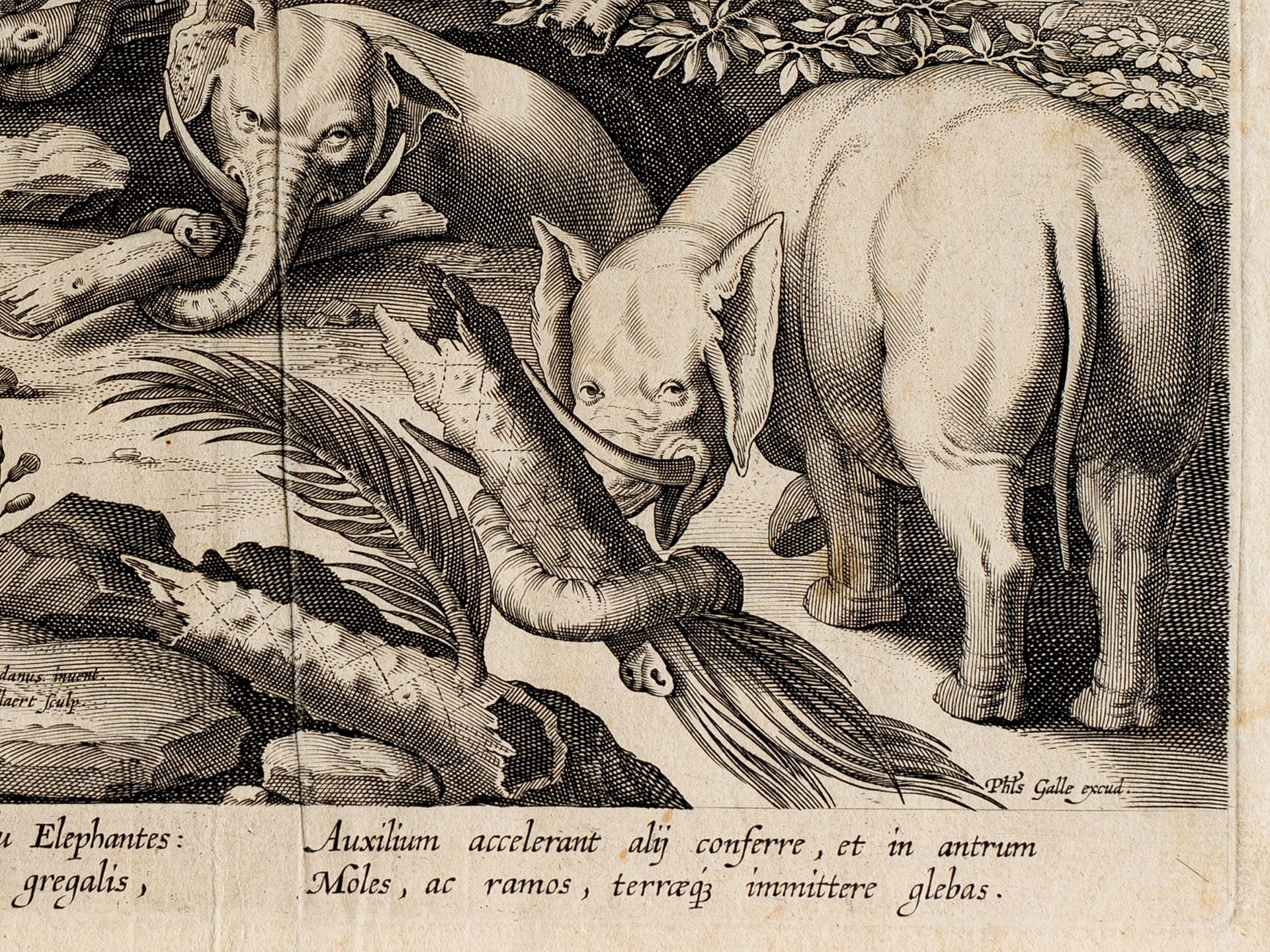 Jan van der Straet, Genannt „Stradano“, 1523 - 1605 - Bild 5 aus 5