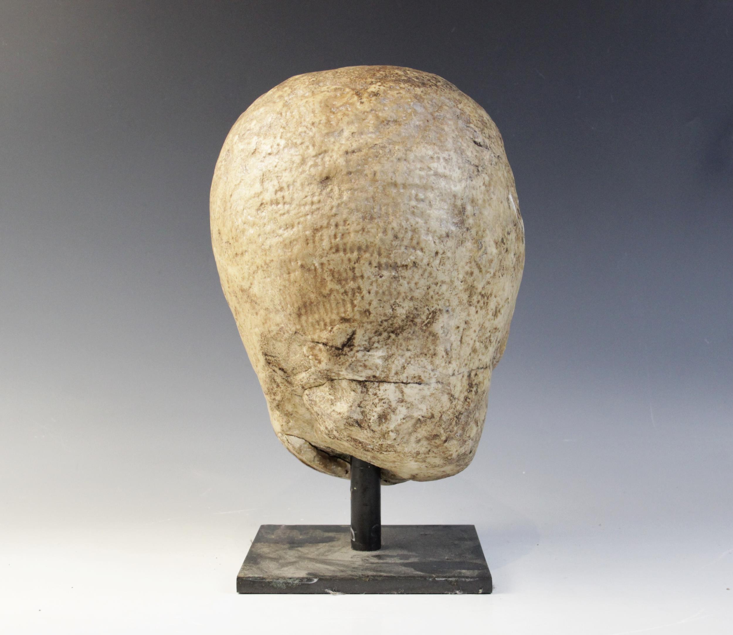 A worn marble male head carved with deeply furrowed brow, with restorations, 26cm high Provenance: - Image 5 of 8