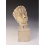 A marble head of an emperor, probably Nero, wearing a wreath, After the Antique, 23.5cm high