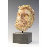 A Giallo Antico head of a bearded male with thickly curled hair, 16cm high Provenance: Ex Alison Bar