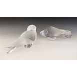 Two Lalique glass pigeons, 'Pigeon Bruges' and 'Pigeon Verviers', the clear glass bodies with relief