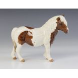 A limited edition Beswick Shetland Pony "Hollydell Dixie", model No. H185 in skewbald (BCC 1995),