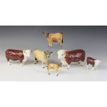 Two Beswick cattle families, comprising: a Jersey Bull, model No. 1422 in gloss, "Ch Dunsley Coy