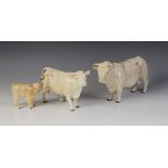 A Beswick Charolais Cattle family, comprising a Charolais Bull, model No. 2463A in gloss,