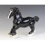 A Beswick limited edition Collectors Club 'BCC 1996' Cantering Shire in black gloss, model No.