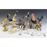 A collection of Beswick birds, to include a Leghorn Cockerel, Model no. 1892, 24cm high, two swan