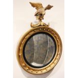 A Regency style giltwood circular wall mirror, 19th century, the eagle crest above the convex