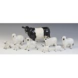 A Beswick Belted Galloway Cow, model No. 4113A, with a Beswick Black Faced Ram, model No. 3071,