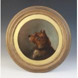 Attributed to George Armfield (British, 1808-1893), A tondo portrait of a Terrier, Oil on board,