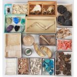 NATURAL HISTORY INTEREST: A selection of glass topped "cabinet of curiosities" display boxes, 20th