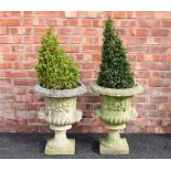 A pair of reconstituted stone garden urns, of campana form the fluted bodies applied with human mask