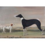 English school (18th century), A black and white greyhound with a spaniel, Oil on canvas, Initialled