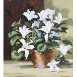 Michael Felmingham (British, b.1935), "White Cyclamen", Oil on board, Signed lower right, titled