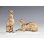 A German porcelain Italian greyhound by Rosenthal, modelled prone and looking over its shoulder,